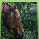 늘황소농장 이미지