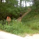 모산봉등산로 이미지