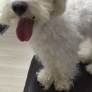 연미마트 네이버블로그
