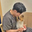 관양동물병원 이미지