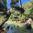 보은양과 | 전북 완주 당일치기 여행 | 동상계곡 검태오남매, 동서네낙지 봉동점, 보은양과