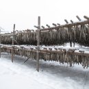 대관령황태이야기 이미지