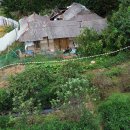 상안농장 이미지