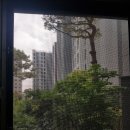 수원-0492 이미지