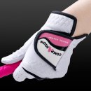 컴패니언 이미지