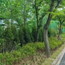 토월초등학교 이미지