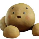 강아지 똥 이미지