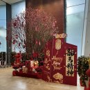 J.D 피트니스 | 중국 홍콩/마카오 3박5일 모두투어 패키지 내돈내산후기 - 3일차(홍콩여행)