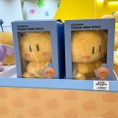 몽몽 꿈 별 이미지