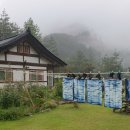 봄볕내리는날 이미지