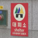 내일오후