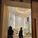 Wedding 기록 17. 안양 파티오벨라 시식 후기