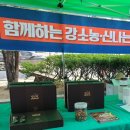 정인력