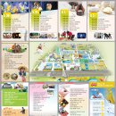 보물섬마늘나라 이미지