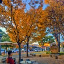 남원관광지 | 남원 여행 광한루원 야경 후기 | 남원에서 꼭 가봐야할 대표 관광지