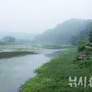 대초천 이미지