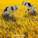 콜라보 이미지
