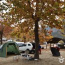 상의자동차야영장 이미지