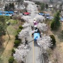 봄을 그리다 이미지