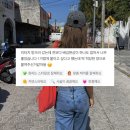 하이룰루 이미지