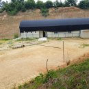 지선농장 이미지