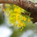 햇살좋은창 이미지