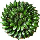 땅벌방앗간 이미지