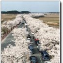 ◈국토해양부 선정 한국의 아름다운 길 100선◈ 이미지