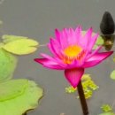 행정법무사무소 가족 행정사사무소 이미지