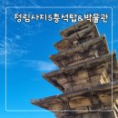 정림사지박물관 | 부여 정림사지5층석탑과 정림사지박물관 관람 후기
