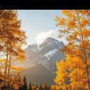 회통불교의 깨달음 이미지