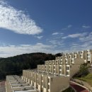 고려빌라 | 파나크 영덕 풀빌라 오션뷰 조식 포함 숙박 후기