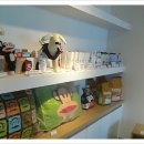 테리몽하우스 이미지