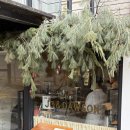 토스트굽는사람들 | 연남동 카페 추천 조앤도슨 연남본점 프렌치토스트 맛집 후기