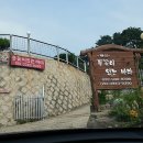 들꽃이 있는 바다 이미지