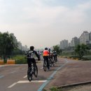 분당-300 이미지