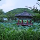 진주 용호정원 이미지