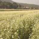 북천생태공원 이미지