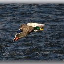 한양대 앞 이미지