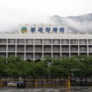 중앙로 느티나무길 이미지