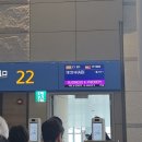 셰르파투어 | 이탈리아 로마 여행첫날, 날씨 최악의 폭염 :: 반면교사 삼을 일정들