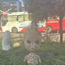 꽃보다짜장금암점 | 전주 여행(24.10.04~24.10.06)