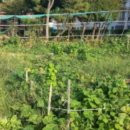 옥포초등학교병설유치원 이미지