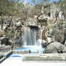 영산약품 이미지