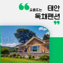 태안독채펜션 가족여행 단체숙소 찾는다면 물댄동산이 좋았던 이유
