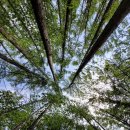 대광천(1) 이미지