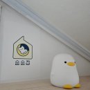 숨숨집당진 | [후기] 당진여행 숙소 1박 후기: 숨숨집 당진(독채)