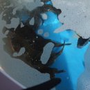 속초바다풍경펜션 이미지