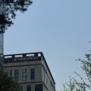 강남역 긴머리 파마 허니엘부스 헤어살롱 후기