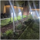 풀빌라 하루 이미지